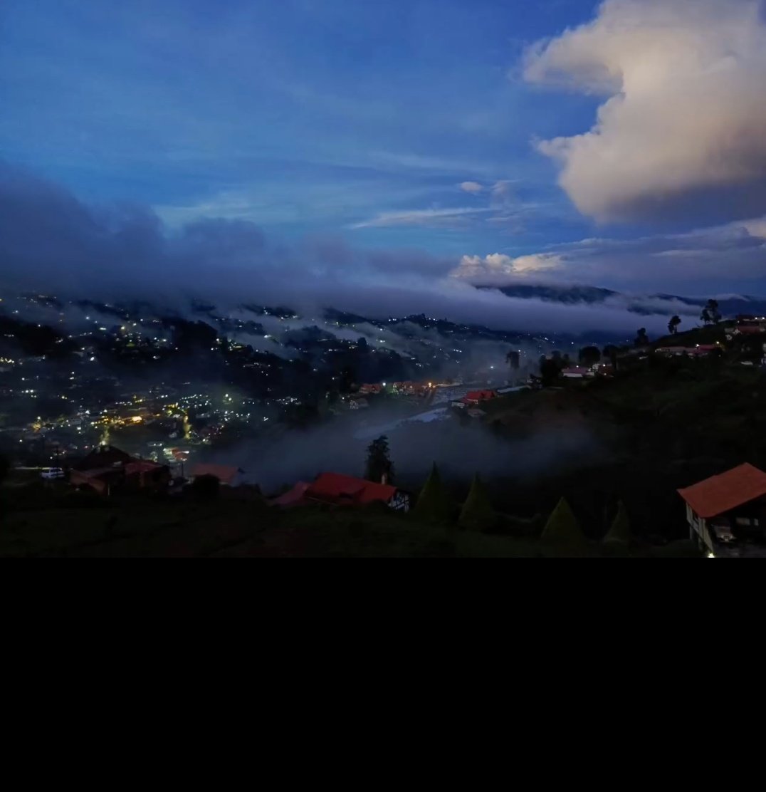 Donde florecen las palabras, nace la esperanza. 

Feliz noche Venezuela 💛💙❤️
