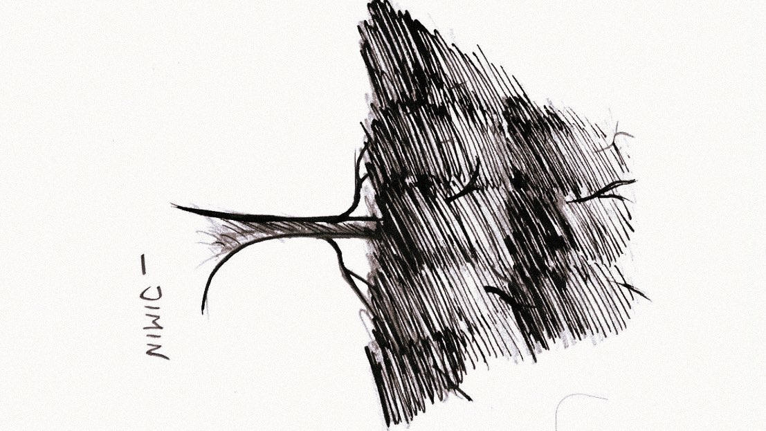 gcforminguk's tweet image. o hiper foco do jimin em desenhar árvores