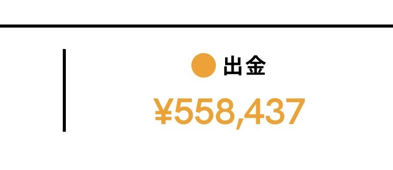 2ヶ月で100万何に使った⁇