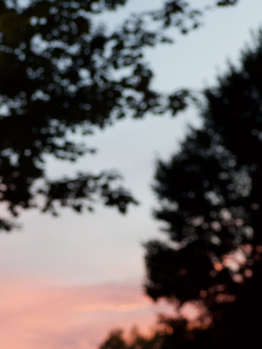 percy benson (@percybens) on Twitter photo 