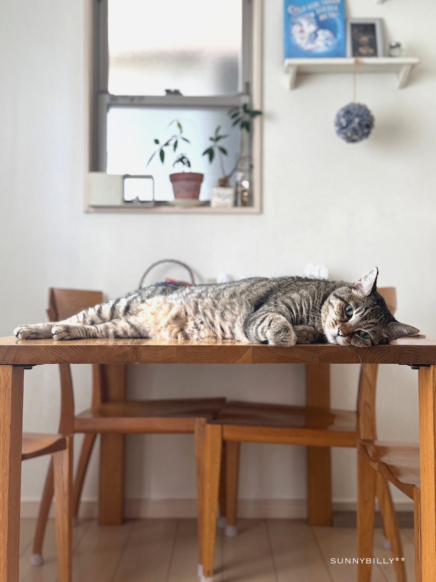 sunnybilly_tree's tweet image. 新作出品してからたくさんの
ご注文ありがとうございます
( ⁎ᵕᴗᵕ⁎ )*⑅❤
少し落ち着いたので今週は
少しのんびり制作していくかな
coming soon𓆸⋆*
▫️2Way cotton pullover
(レース注文してて届き待ち)
◻️minne◻️
minne.com/@sunnybilly
◻️BASE◻️
sunnybilly.kawaiishop.jp