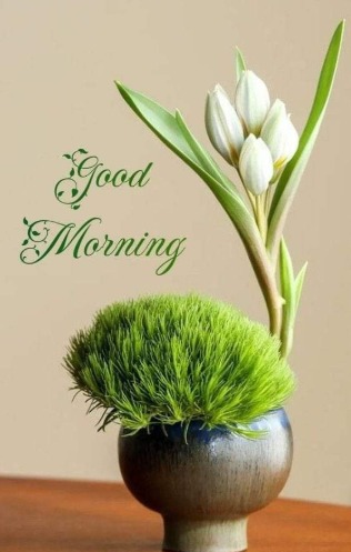 मन की शांति ही सबसे बड़ा सुख है, इसे हर सुबह अपने साथ रखो। शुभ प्रभात दोस्तों आपका दिन मंगलमय हो।
#MondayMotivation
#HappyBirthdayDhanush 
#BBNaijaS10 
#INDvsENG 
#突然ですが占ってもいいですか
