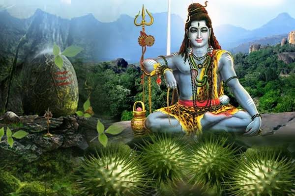 sinha2300's tweet image. सावन प्रिय शिव को सदा, बेलपत्र मन्दार
भांग  धतूरा  दूध   घी,  शीश गंग की धार
                         🙏
                ॐ नमः शिवाय
                  #श्रावणमास
                 #नमो_श्रीरामंं