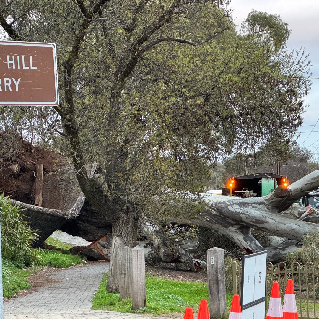 SA Power Networks tweet media