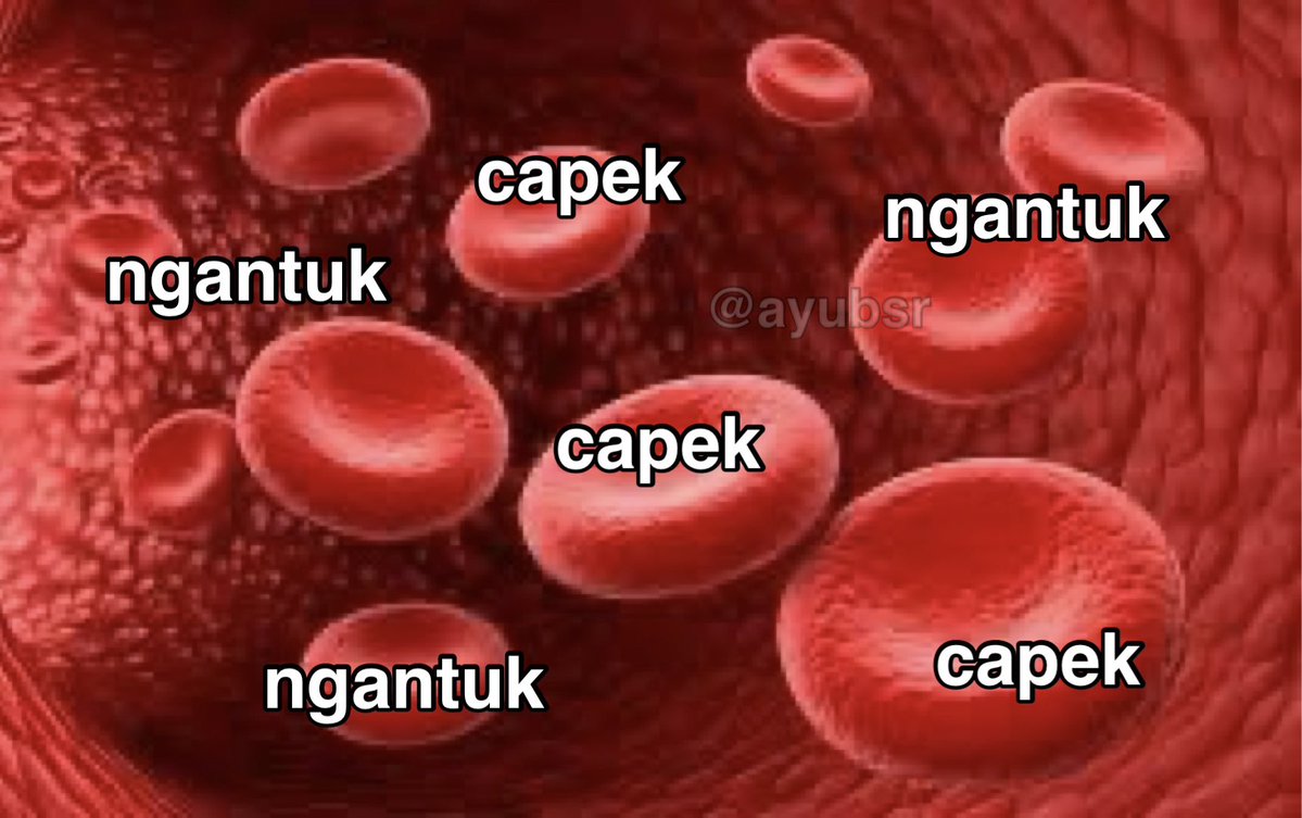 ayubsr's tweet image. Darahku saat ini:
