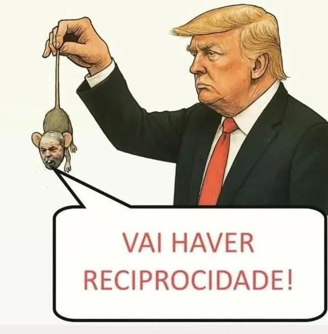 Contexto e Poder (@diaphanumbrazil) on Twitter photo 