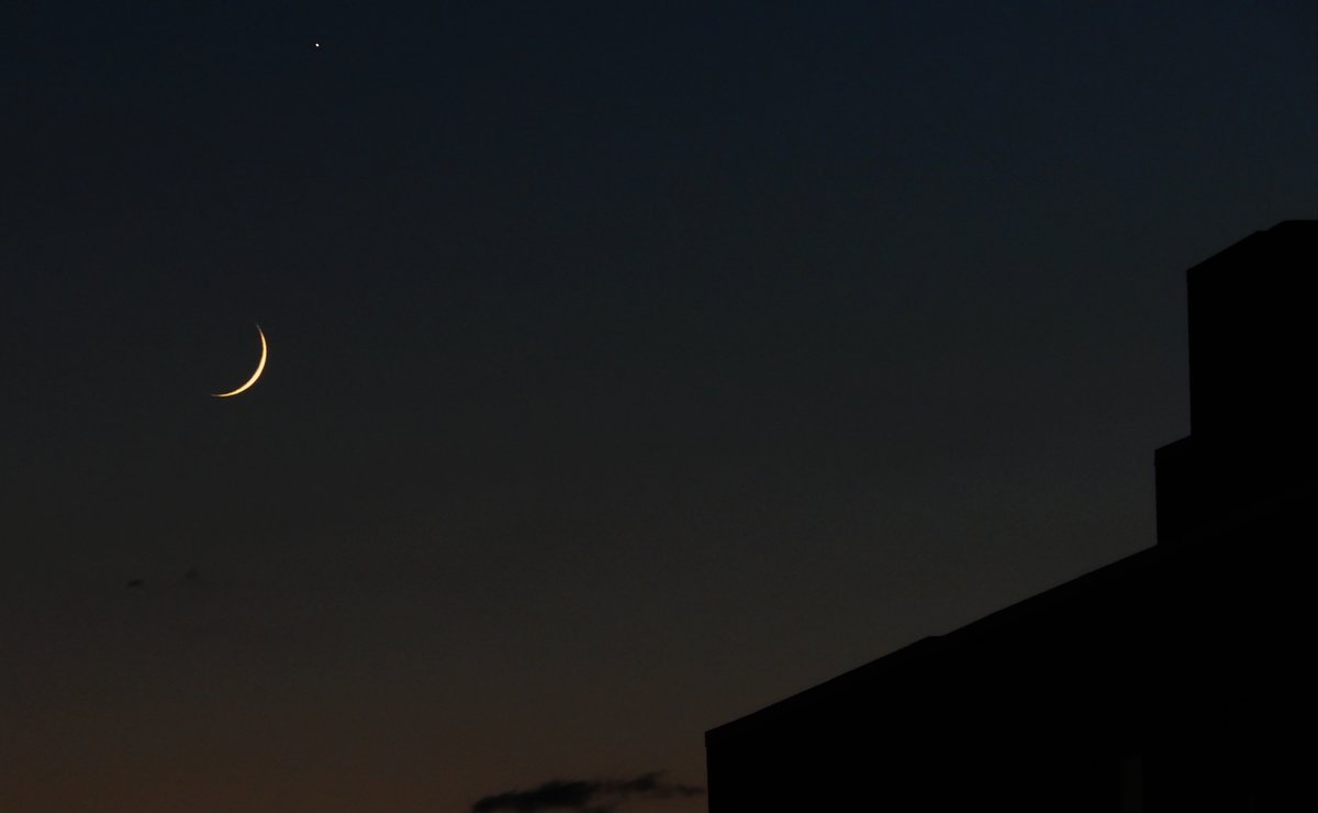 #MoonWatching
Luna sends good wishes to all my beautiful friends ... .. .