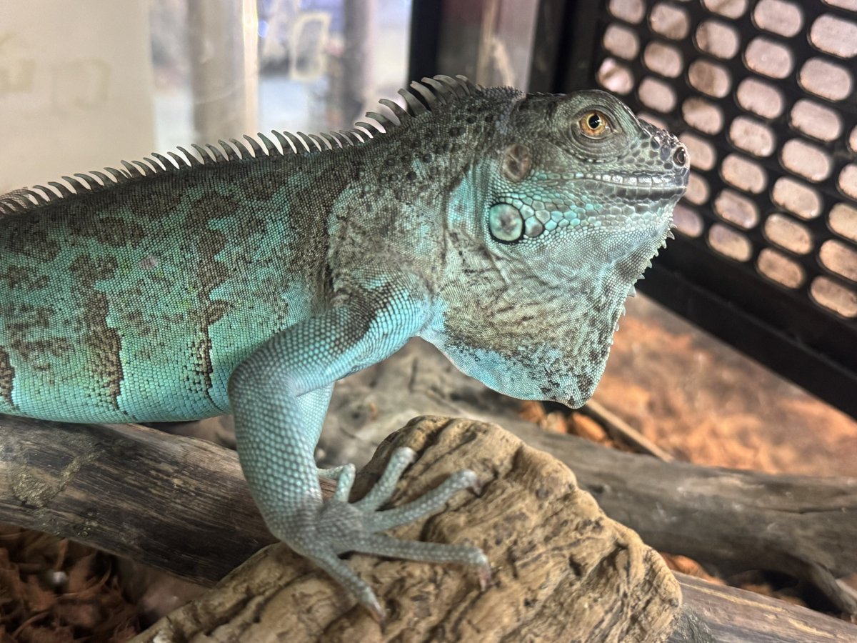 WING21

本日20時まで営業です。
宜しくお願い致します。