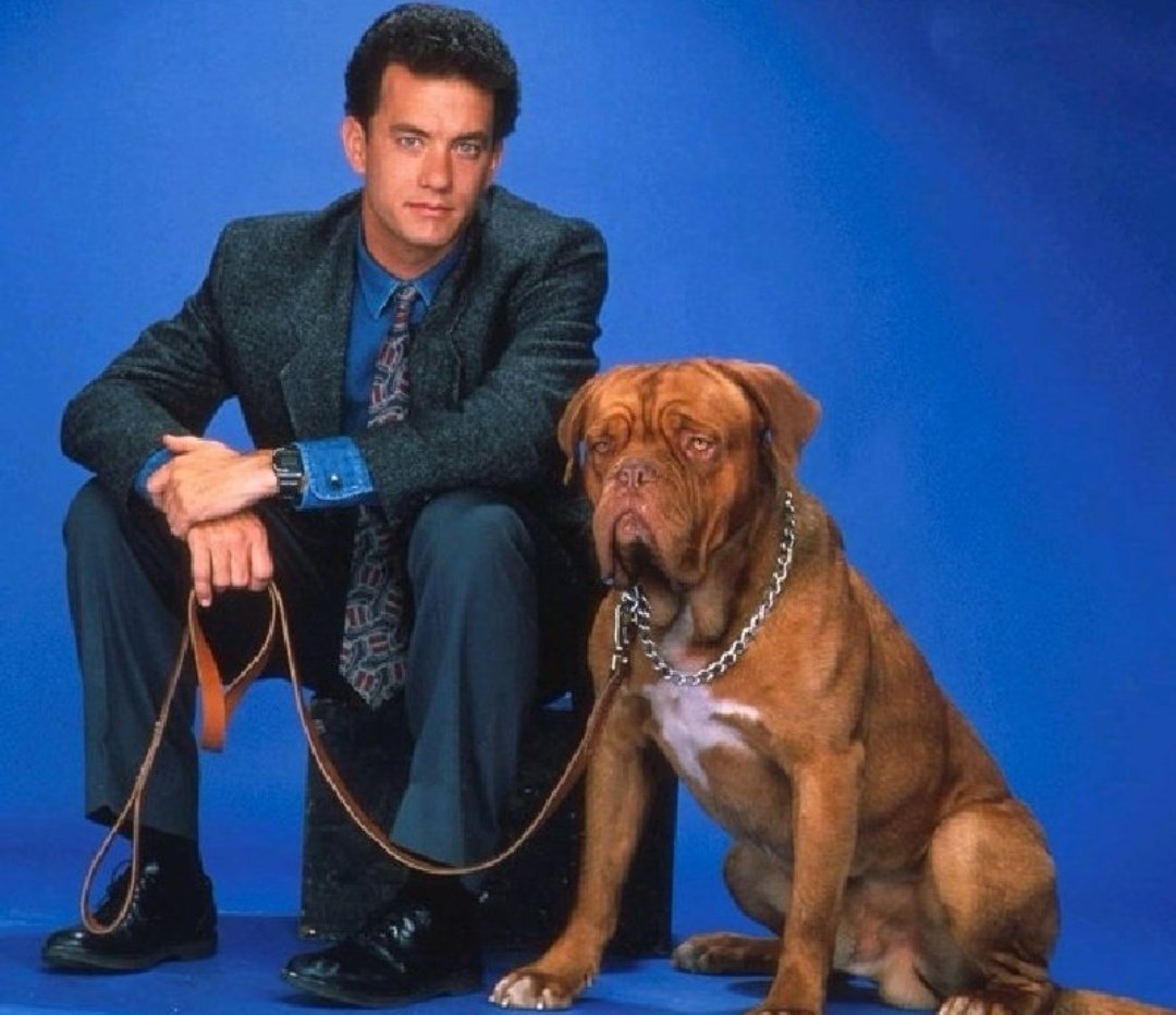 keeechan_0512's tweet image. 映画「ターナー&amp;amp;フーチ/すてきな相棒」（1989）

トム・ハンクスとボルドー・マスティフ犬のフーチ