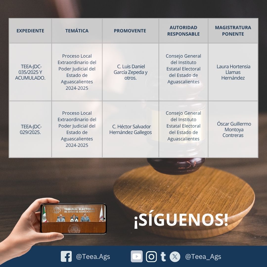 9ª SESIÓN PÚBLICA DE RESOLUCIÓN