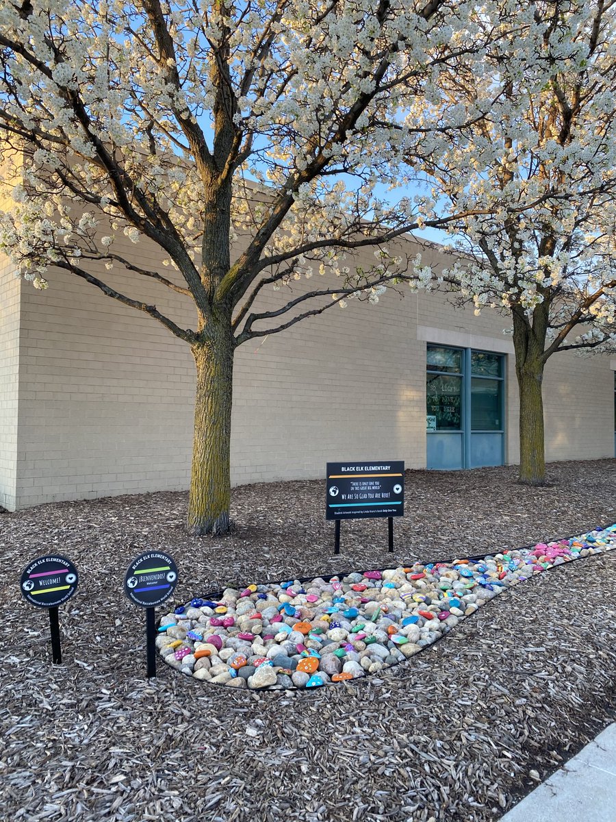 Hally O’Connor tweet media