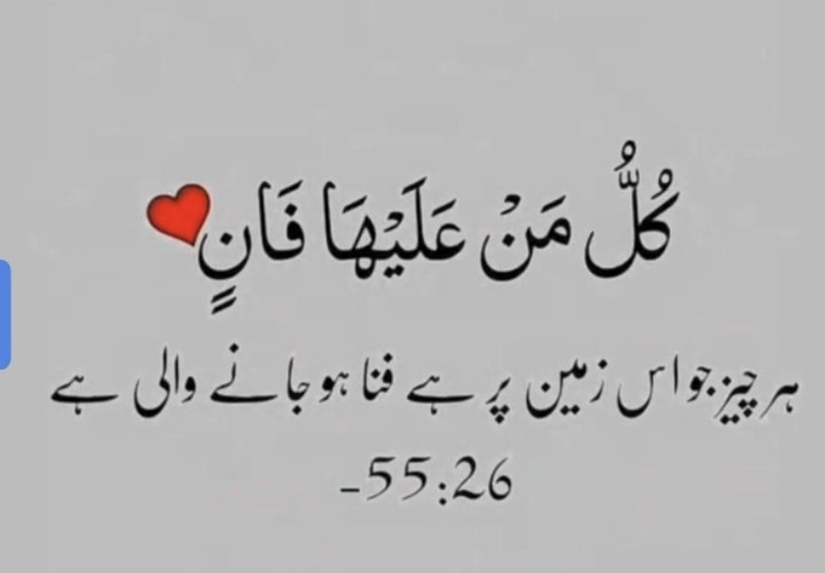 🌿🌸السلام علیکم ورحمتہ اللہ وبرکاتہ🌸🌿

💫صبح بخیر💫

🍃وہ جو ہر صبح کا آغاز رب کے بابرکت نام سے کرتے ہیں ان پر رب کی خاص رحمتیں برستی ہیں🍃

🤲🏻اللہ رب العزت ہم سب کے گناہوں کو معاف فرمائے اور ہمیں جنتوں کا راہی بنائے۔🤲🏻

آمین ثم آمین !!!

#خاتم_النبیین_محمدﷺّ