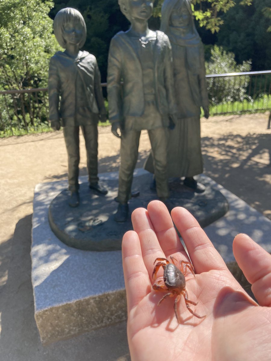 gucchi_singeki's tweet image. 今朝、大山ダムへ行ったら
銅像近くで元気がないカニさんを発見

たぶん暑くてしんどかったのでしょうね

近くの小川へ放してあげました✨🦀