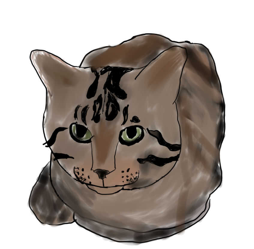 OfDanAndMen's tweet photo. Dumbass cat Kimchi, arted. https://t.co/lnF35nPvwk