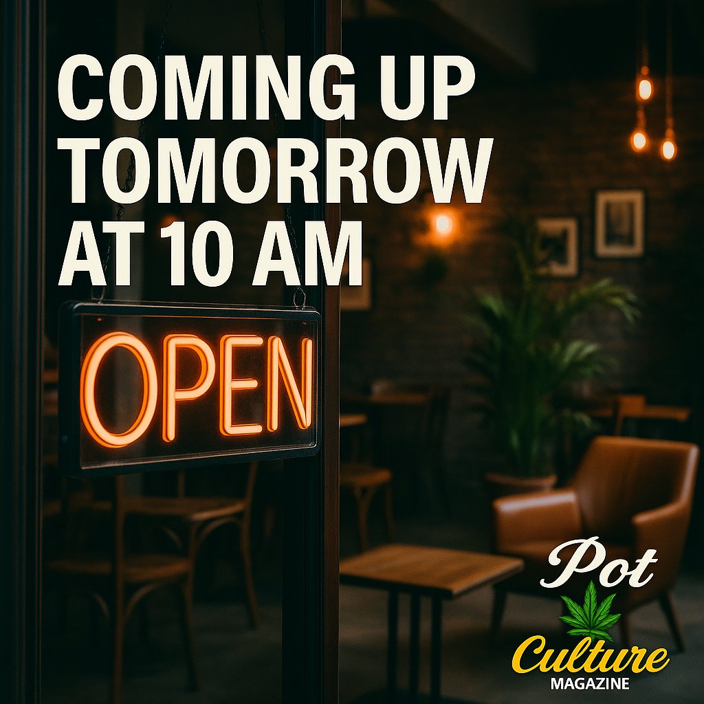 PotCultureMag's tweet image. Tomorrow at 10 AM: California said yes to cannabis cafés, then let local politics kill them. We dive into why weed lounges are dying before they begin and how red tape buried a cultural promise. #PotCultureMagazine #California #420Community #CannabisCulture #Cannabis #Weed