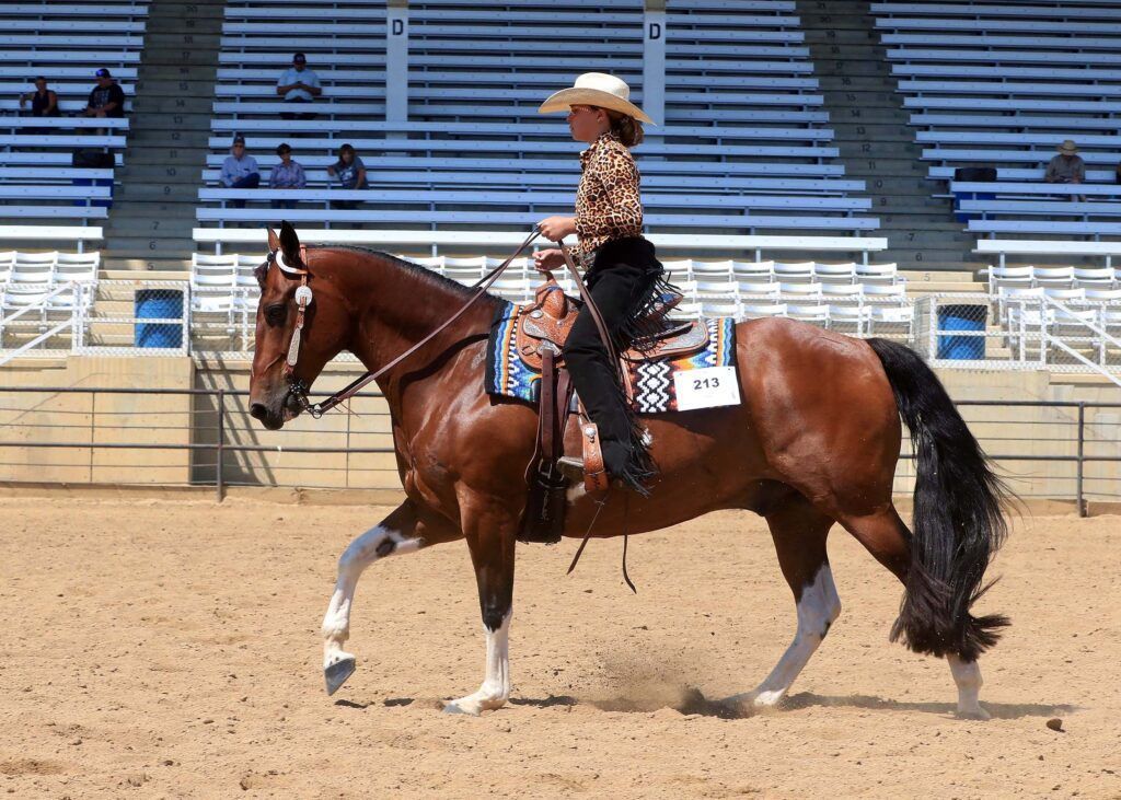 Western Horse Show Events Sunday County Fair sheridanmedia.com/media-2/photos…