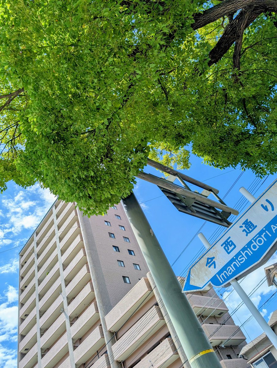 junhazuki_siiro's tweet image. #GoodMorning