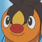 TepigGanda's tweet image. Tepig is too hyper to sleep