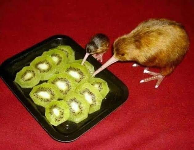 wasabirts's tweet image. mm q rico kiwi mmm sabroso