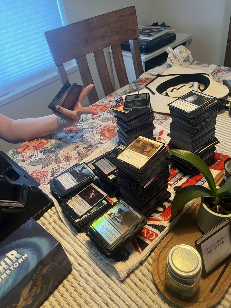 Linkal_art's tweet image. The great card organization begins
(feat. My sibling bc they are helping)