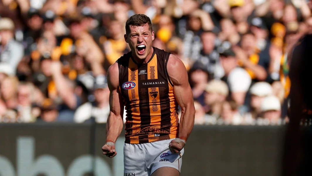 aflratings's tweet image. Lloyd Meek has signed a four-year contract extension at the Hawks, per Tom Morris. 

@aflratings