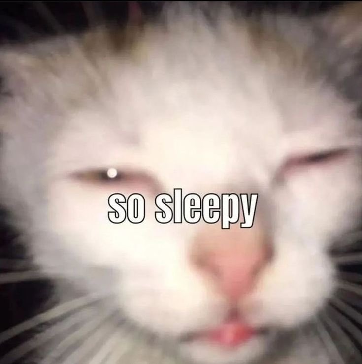 sheriffcupcaitX's tweet image. GOODNIGHT OOMFS
