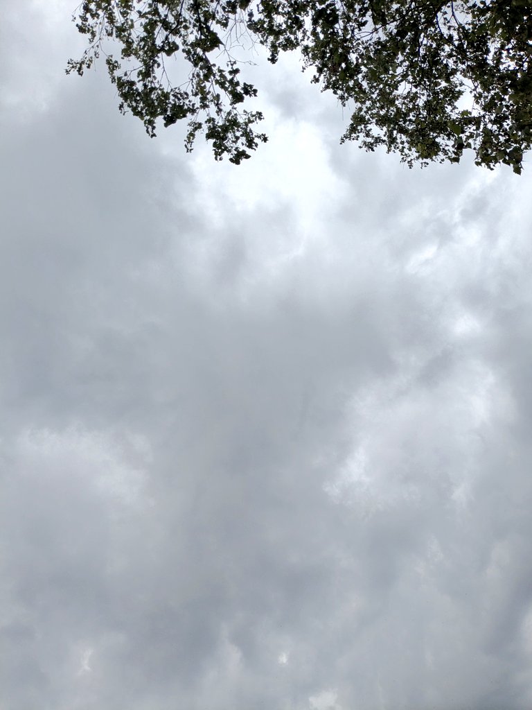 BoBoBo_BoN's tweet image. #イマソラ
気温32℃
体感温度 くそ暑い( ᎔˘꒳˘᎔)