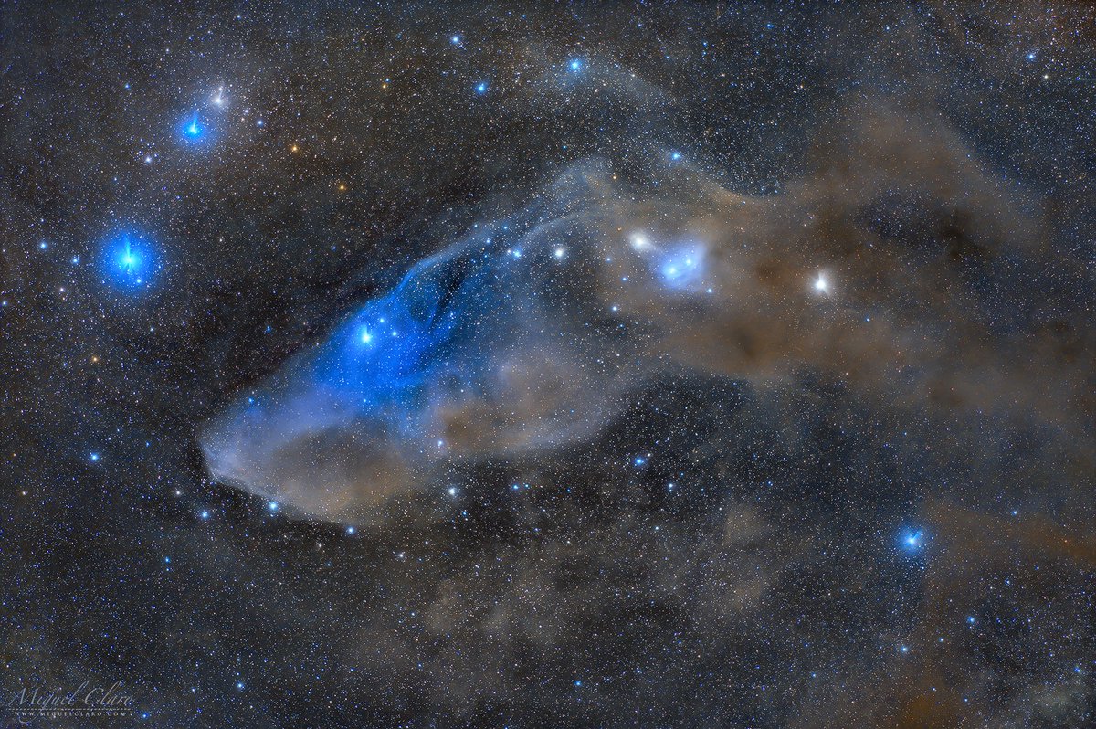 Madriles6211's tweet image. Blue Horsehead Nebula by Miguel Claro miguelclaro.com/wp/portfolio/a…