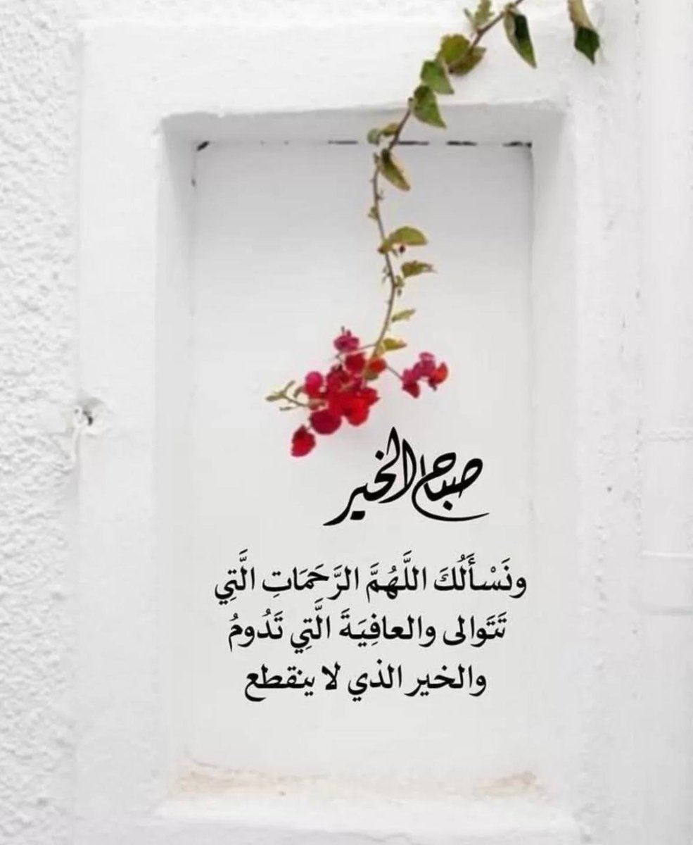 Ali AlHawaj (@alialhawaj10) on Twitter photo 