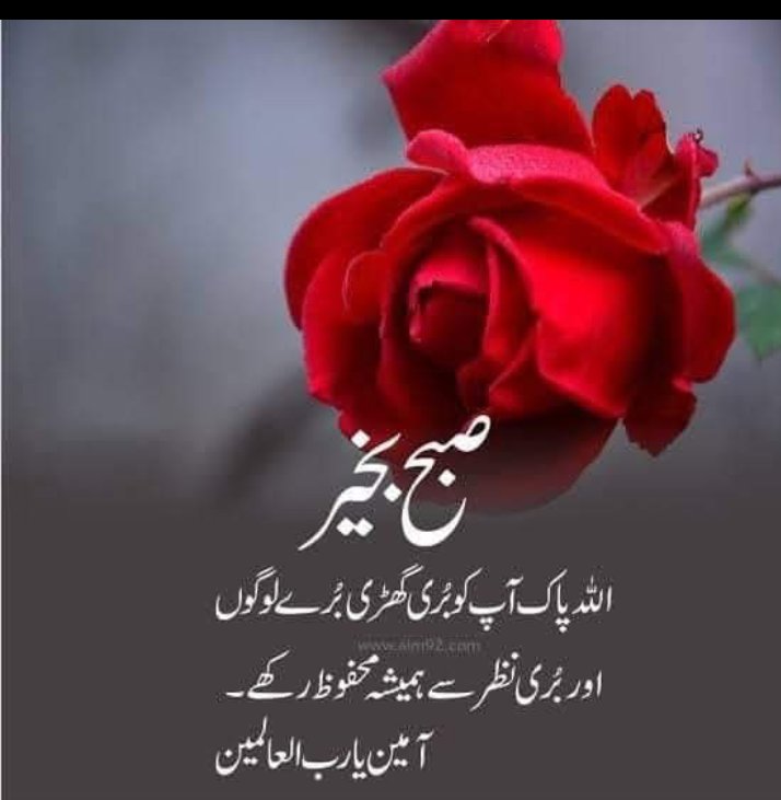 ZainSafeer12's tweet image. اسلام و علیکم
صبح بخیر
جن رشتوں میں ایک دوسرے کو ہمیشہ دل سے عزت دی جائے
 وہ برے حالات یا مجبوری میں خاموش ضرور ہو جاتے ہیں لیکن  ٹوٹتے کبھی  نہیں

لوگوں کے دلوں میں خوشی پیدا کرو
اپنی زندگی میں جتنے دل راضی کروگے اپنی قبر پر  اُتنے ہی چراغ جلائوگے

@itz_muqaddas78 follow guys