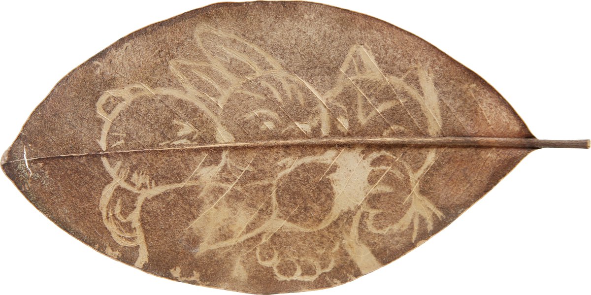 Such As, Gallery tweet media