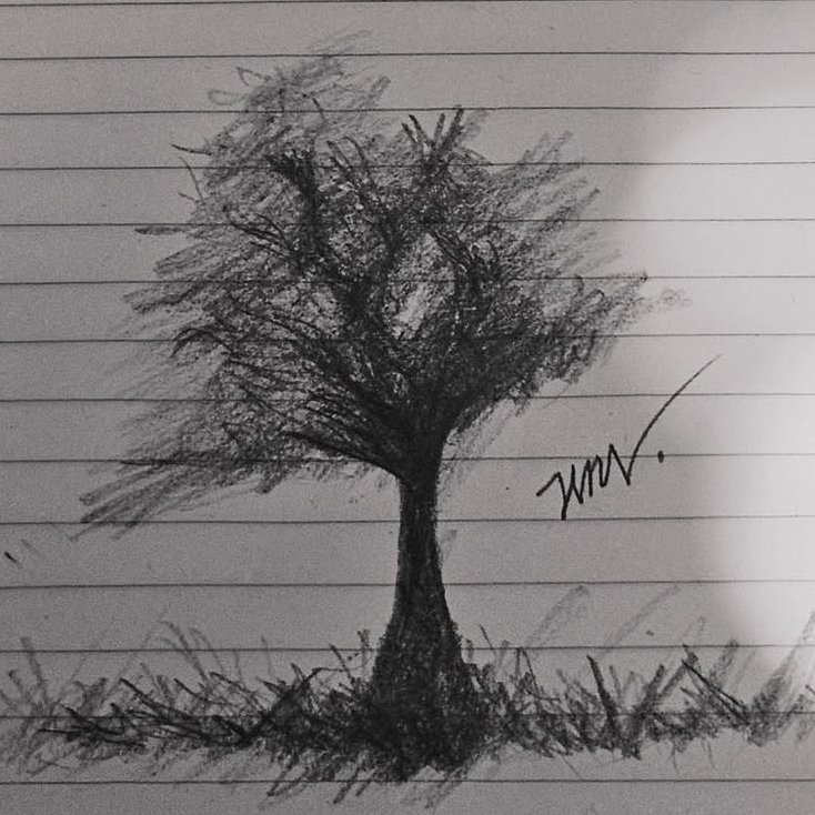 debkook7's tweet image. A sensibilidade do Jimin transformada em arte 
Lindo 🥰