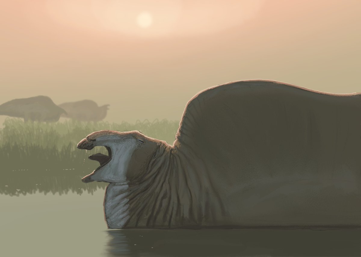 Joschua Knüppe (@joschuaknuppe) on Twitter photo Oh! I also forgot to post <a href="/TenontosaurusT/">🌸Cassandra🌸🏳️⚧️🦕🖌️</a>'s wish! A Ouranosaurus relaxing in the morning.
#paleostream Oh! I also forgot to post <a href="/TenontosaurusT/">🌸Cassandra🌸🏳️⚧️🦕🖌️</a>'s wish! A Ouranosaurus relaxing in the morning.
#paleostream
