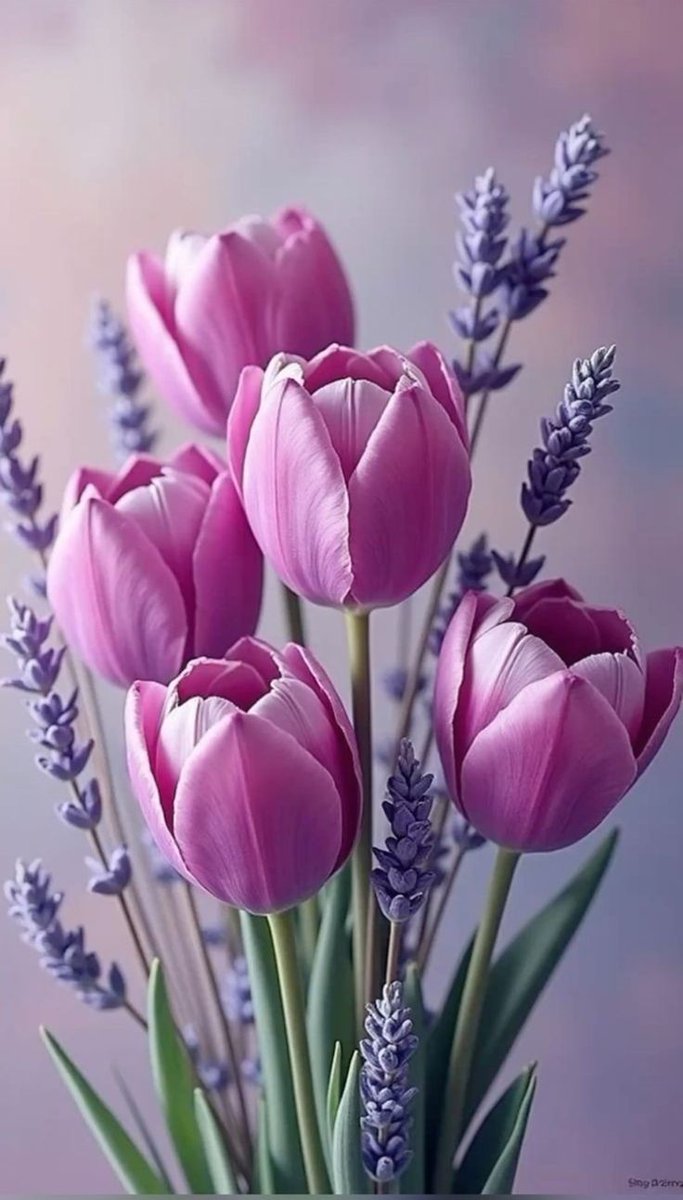 escape056's tweet image. 