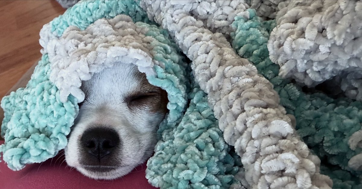 Cinderls (@cinderls) on Twitter photo 