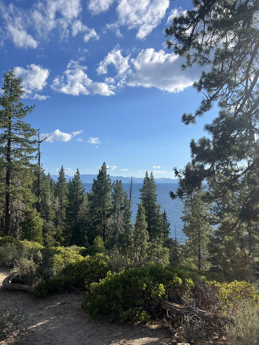 fuckpoasting's tweet image. almost forgot the entire point of living in california is going on a nice drive with your friends, stopping at random beaches and jumping off cliffs