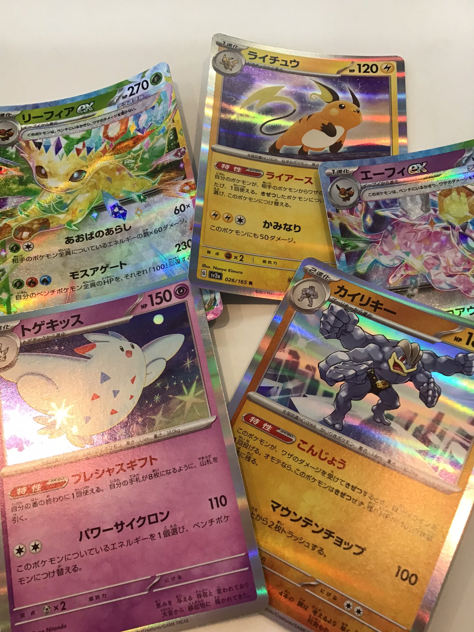 遊ING浜町店トレカ YCS(遊INGチャンピオンシップ)公式 on X