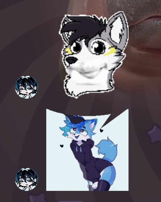 Matthewggukk's tweet image. Funa a @shogua x incitarme al suicidio con sus sticker furros..(esunararitaquedeberianquitarleelaccesoainternet)