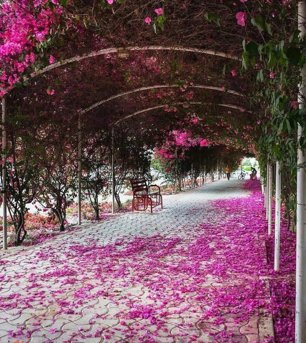 arezu202's tweet image. ما این طوری صبح بخیر می گیم😉