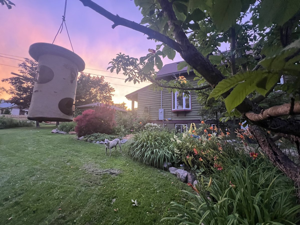 chrisplys's tweet image. Taking in the sunset with the ol boy. 🖤