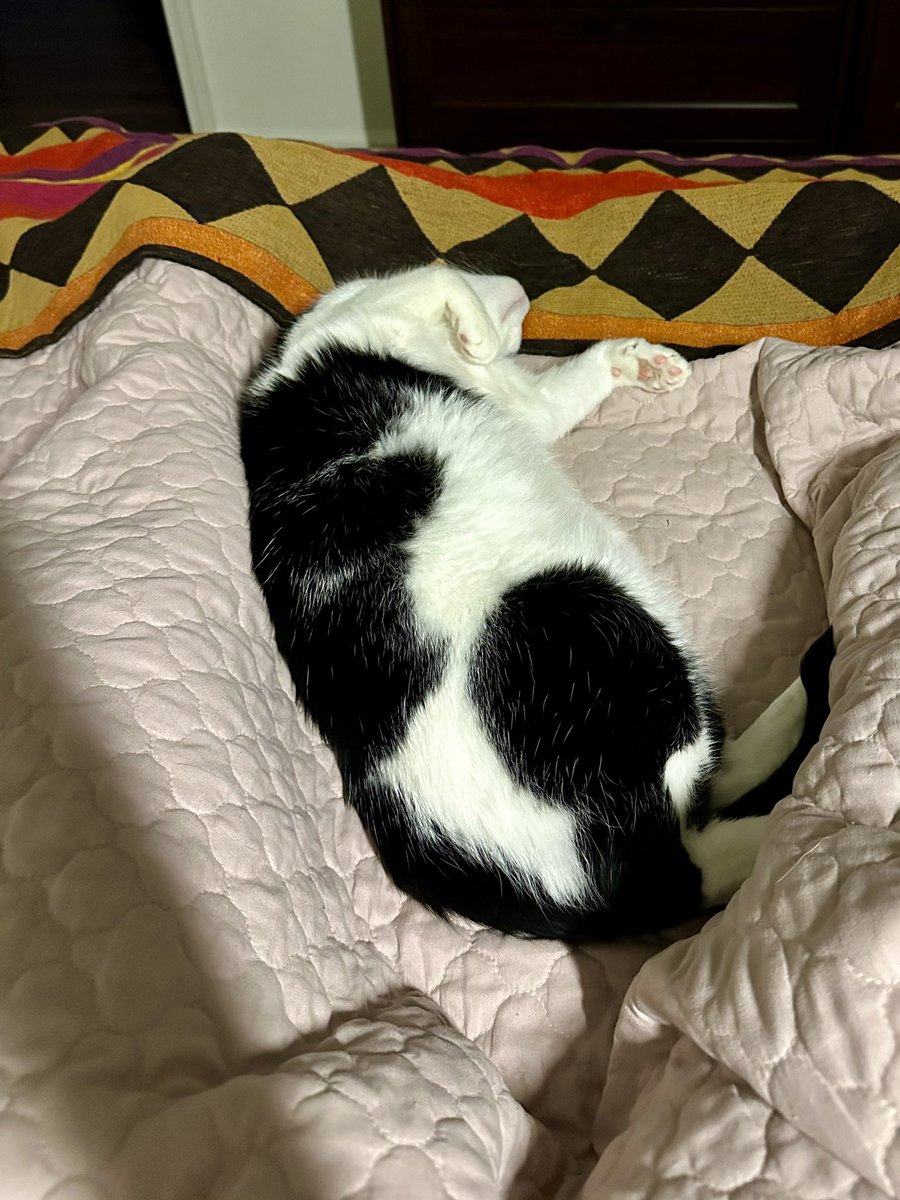 Pauliush76's tweet image. Hasta mañana..