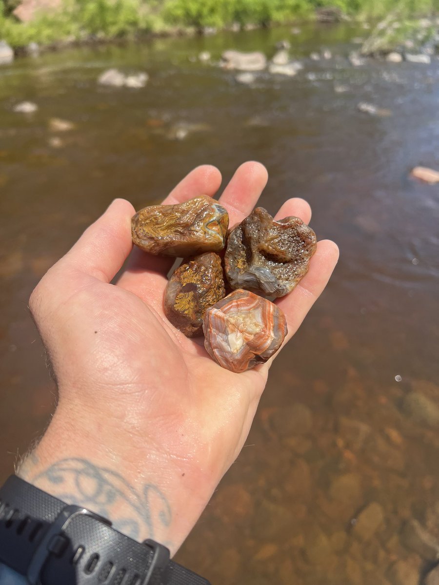 chrisplys's tweet image. Some nice picks from the river today. 🥳