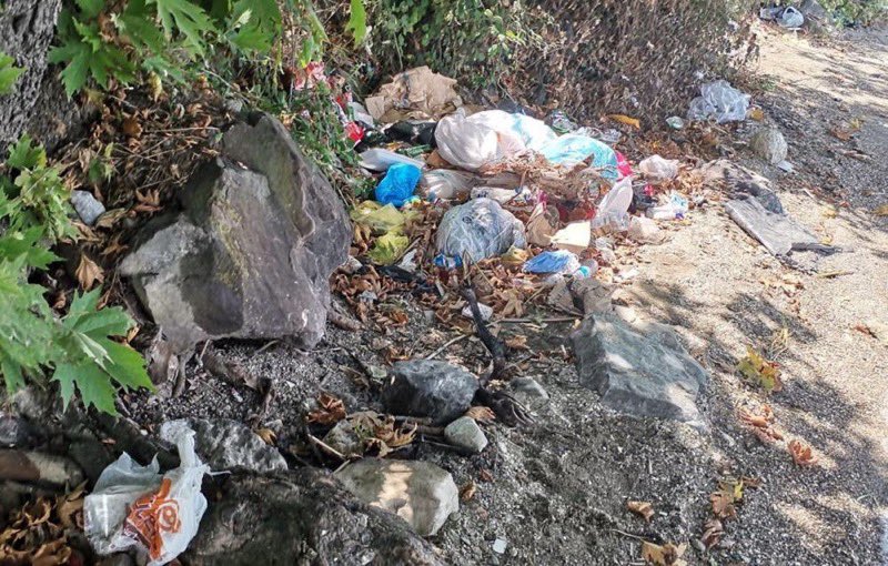 Doğayı sevdiğim için Karadeniz’den Ege’ye kadar dağ, orman ziyaret ederim. Henüz sigara izmariti, bira şişesi, pet şişe, çocuk bezi, cips ambalajı olmayan bir yer görmedim. O çöpleri oraya dağdan ya da dışarıdan gelenler değil ülkenin piknik yapan insanları attı. Sahiller de aynı