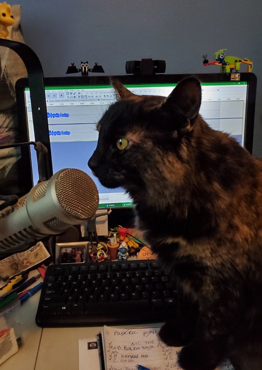 1003WNIC's tweet image. .#ad Sometimes when @TheresaLucas3 is doing a live show from her home studio thanks to her @Xfinity Internet, the cat wants to join in 😅 #Xfinity #kitty  #XfinityKitty