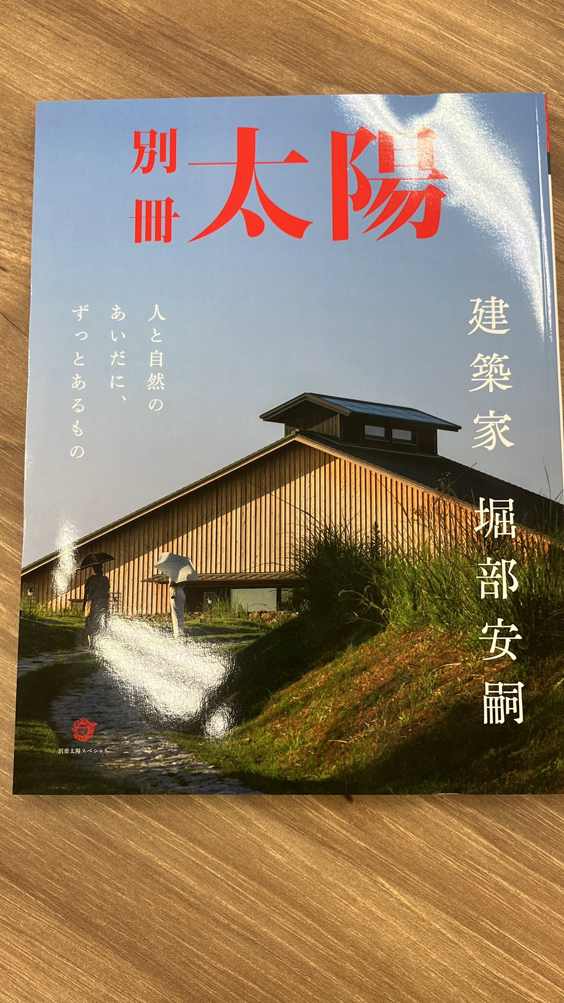 池房専好　立花　陽明文庫蔵　講談社 池房専好 立花(池坊専好 立花) -陽明文庫蔵(池坊専好・立華図