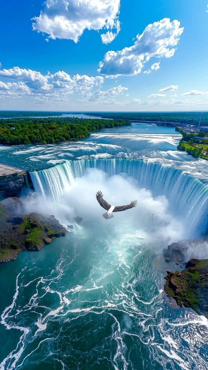 Good morning dear friends 💙🕊️