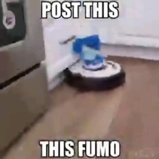 vyxa_fumo's tweet image. 
