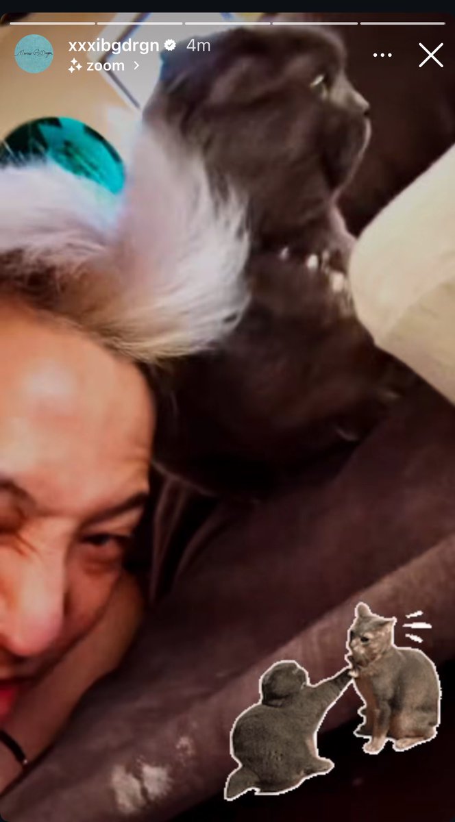 ysatopp's tweet image. awww zoa and jiyong