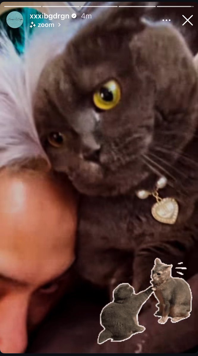 ysatopp's tweet image. awww zoa and jiyong
