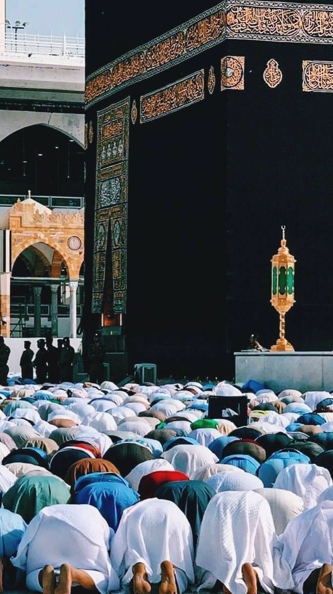 sultanandcm's tweet image. السلام علیکم
ربِ کریم آپکو ایسی عزت سے نوازے جو خلق کی محتاج نہ ہو
ایسے رزق سے نوازے جو اسباب کا محتاج نہ ہو
آمین ثمہ آمین